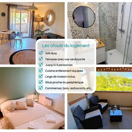 Côté Parc  Cité De L'espace - Balcon - Piscine * Tolosa