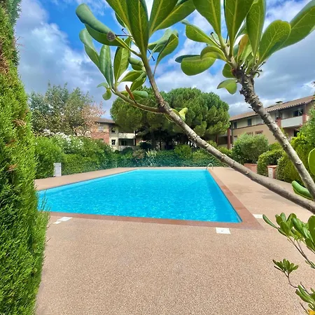 Côté Parc Cité De L'espace - Balcon - Piscine * Toulouse